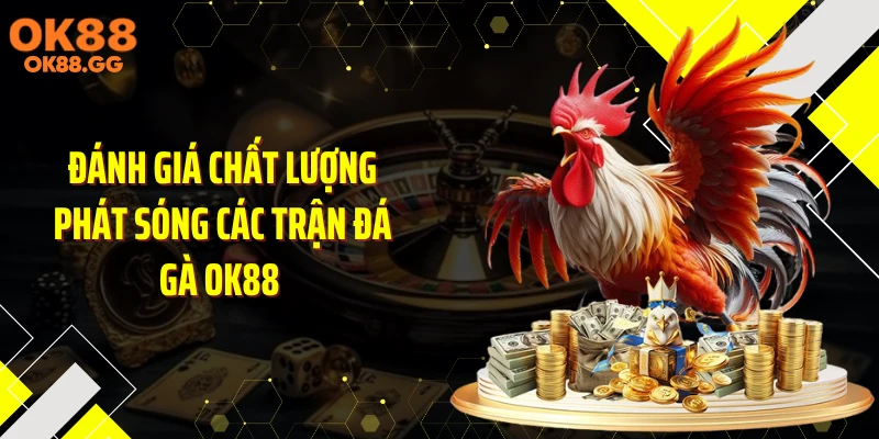 Đánh giá chất lượng phát sóng các trận đá gà OK88