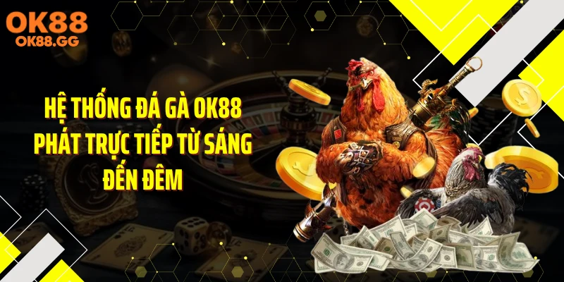 Hệ thống đá gà OK88 phát trực tiếp từ sáng đến đêm